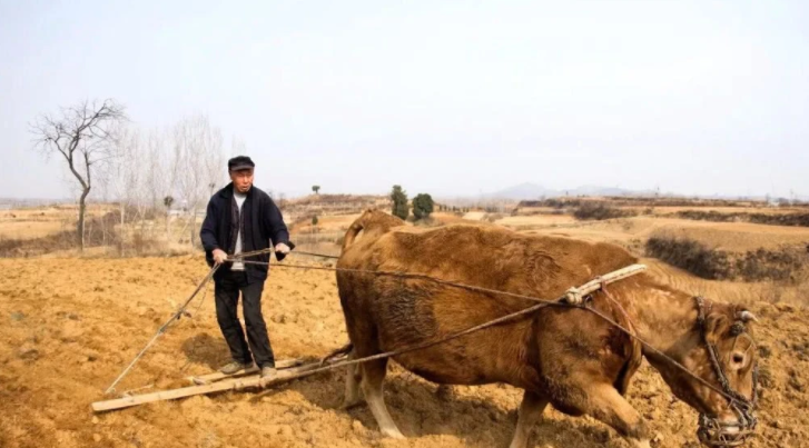 QQ图片20200318164829