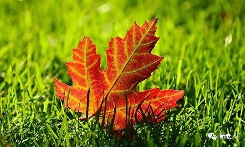 微信图片_20181012142731.jpg时代6.jpg