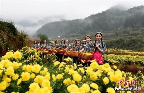 1550630300871963.jpg 微信图片_20190220094959.jpg