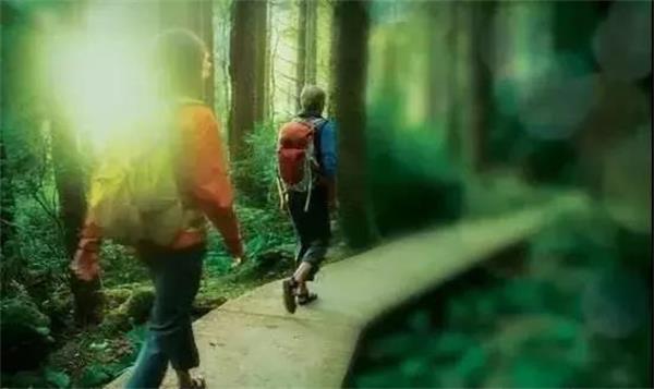 1552547116411591.jpg 微信图片_20190314150018.jpg