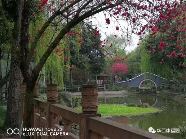 微信图片_20190322103129.jpg