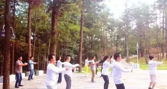 微信图片_20190610165239.jpg