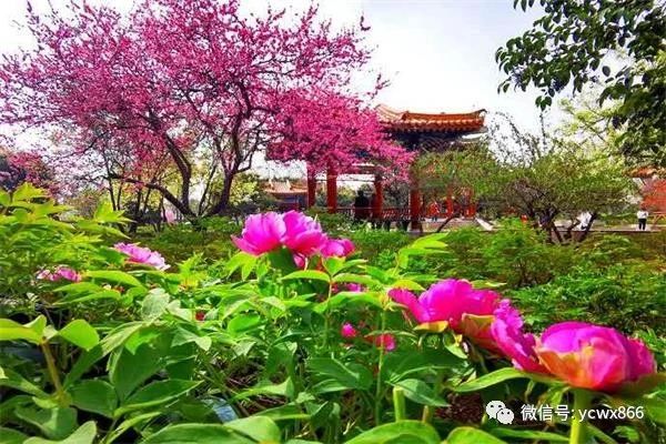 1599272988425032.jpg 微信图片_20200905102429.jpg