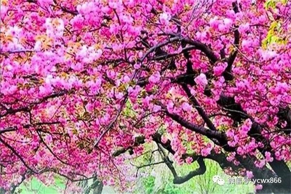 1599273029605464.jpg 微信图片_20200905102434.jpg