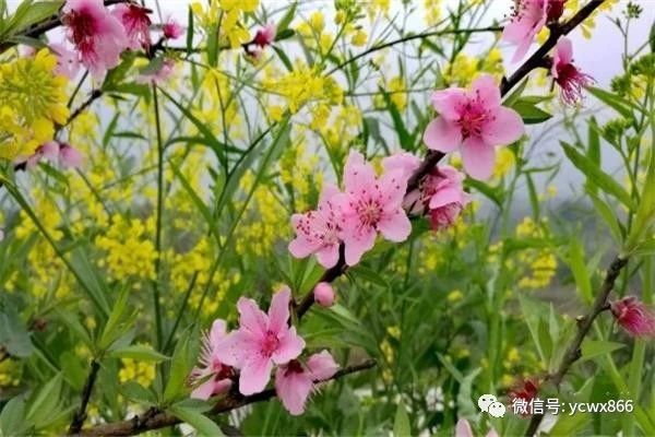 1599273070590213.jpg 微信图片_20200905102439.jpg