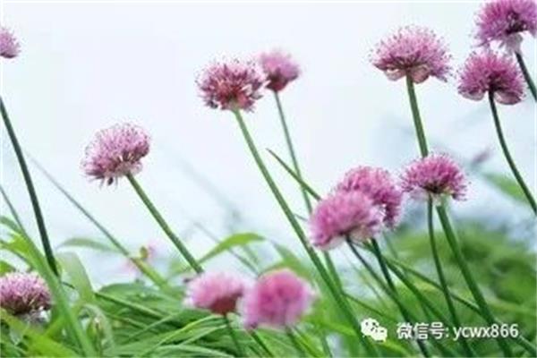 1599273094963281.jpg 微信图片_20200905102446.jpg