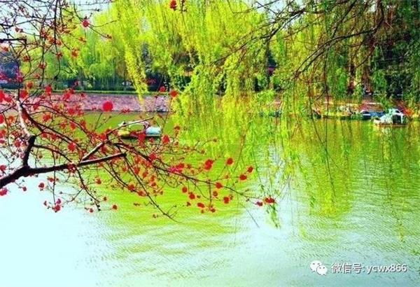 1599273120646538.jpg 微信图片_20200905102452.jpg